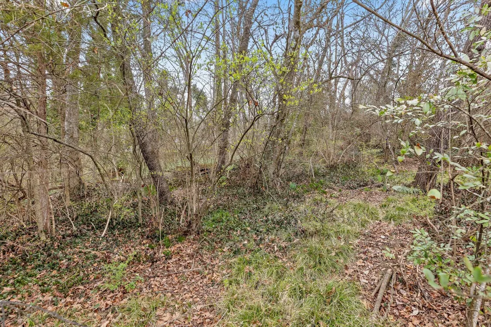 Berkley Drive Red Bank, TN 37415