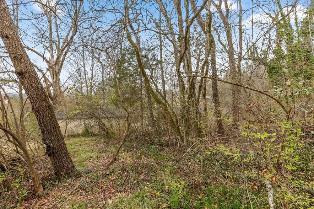 Berkley Drive Red Bank, TN 37415