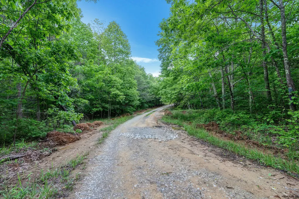 3155 Pigeon Spur Road Tracy City, TN 37387