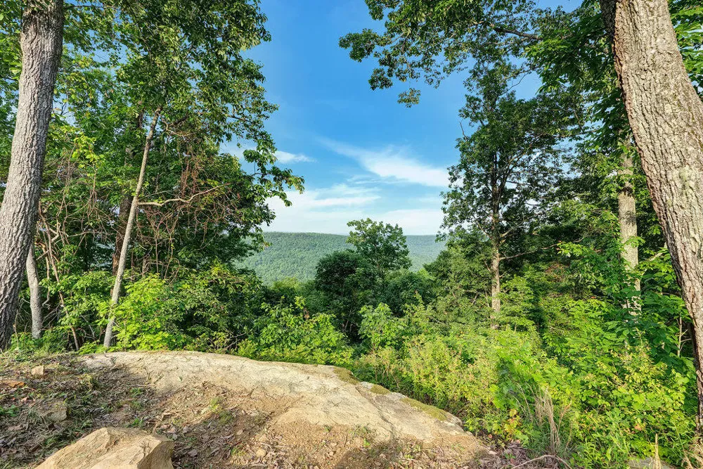 3155 Pigeon Spur Road Tracy City, TN 37387