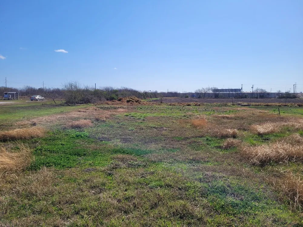 205 Polk Gregory, TX 78359