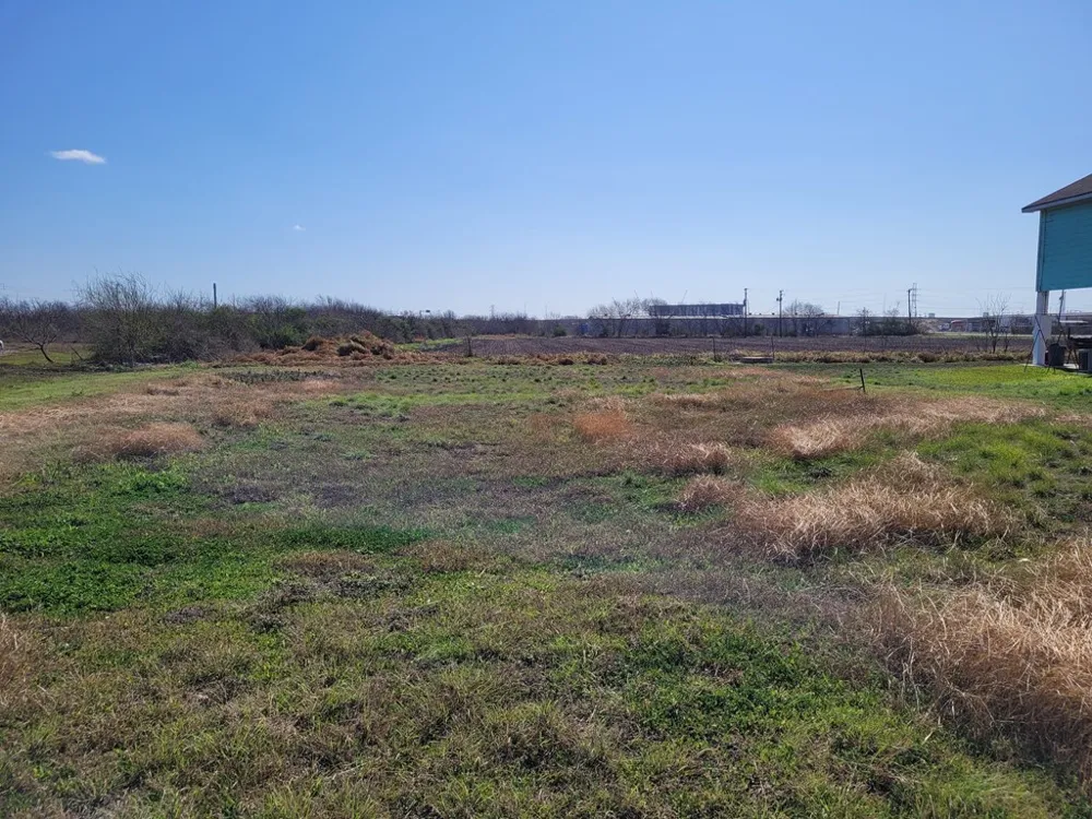 205 Polk Gregory, TX 78359