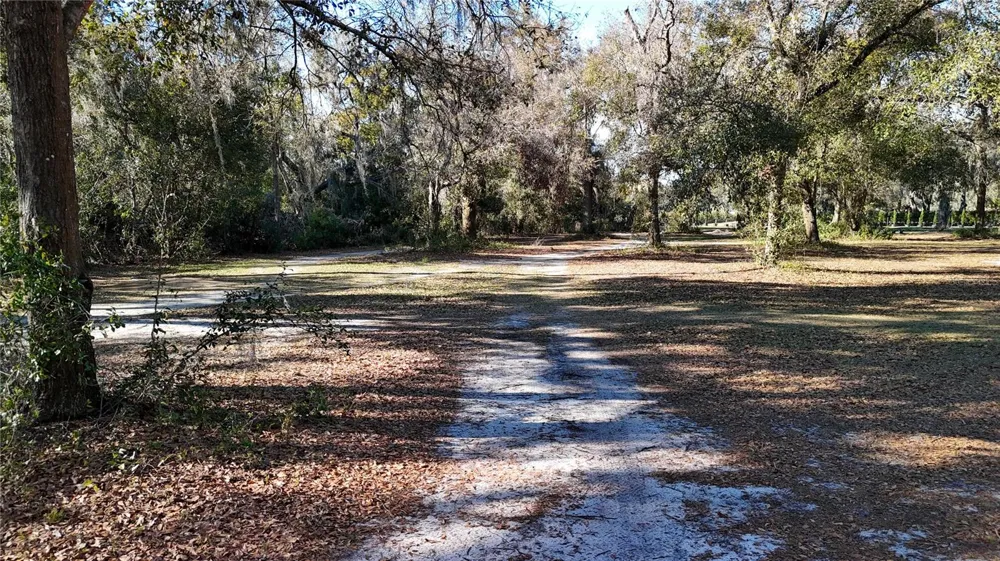 3015 OWLS NEST LANE Plant City, FL 33565
