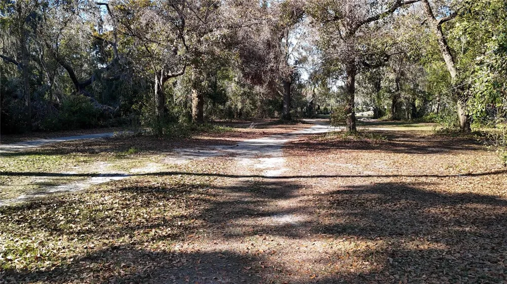3015 OWLS NEST LANE Plant City, FL 33565
