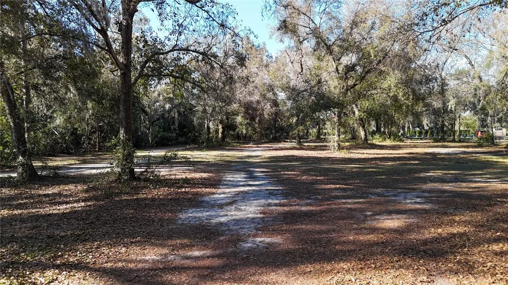 3015 OWLS NEST LANE Plant City, FL 33565