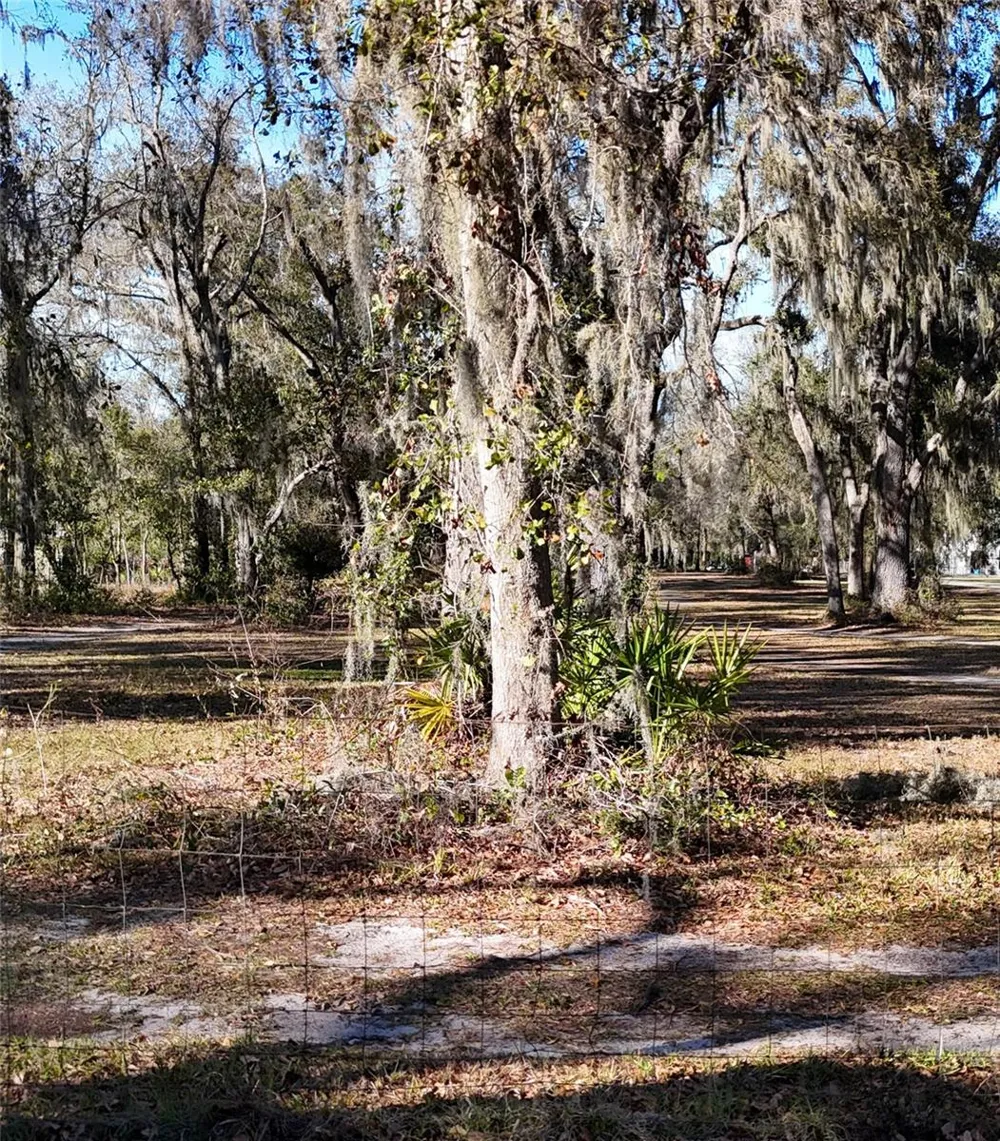 3015 OWLS NEST LANE Plant City, FL 33565