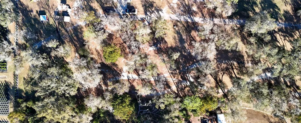 3015 OWLS NEST LANE Plant City, FL 33565