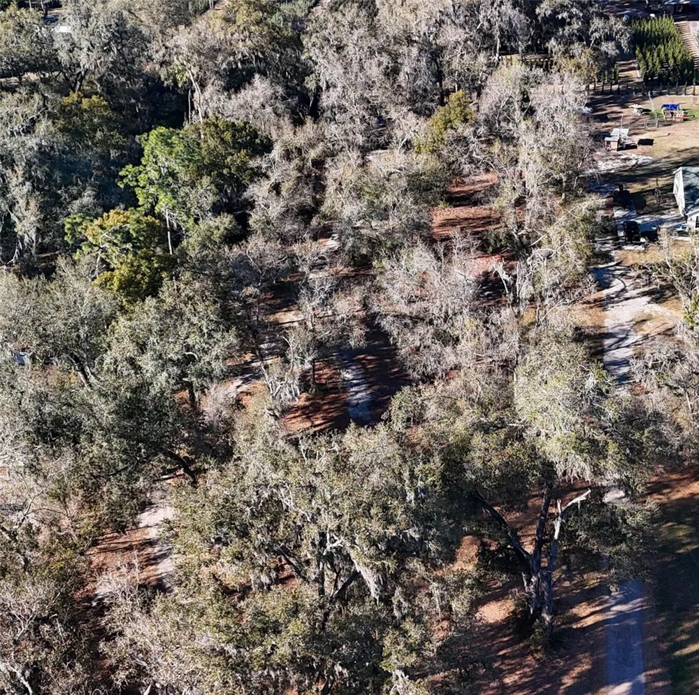 3015 OWLS NEST LANE Plant City, FL 33565