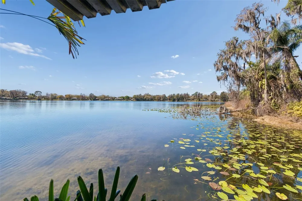 16515 LAKE CHURCH DRIVE Odessa, FL 33556