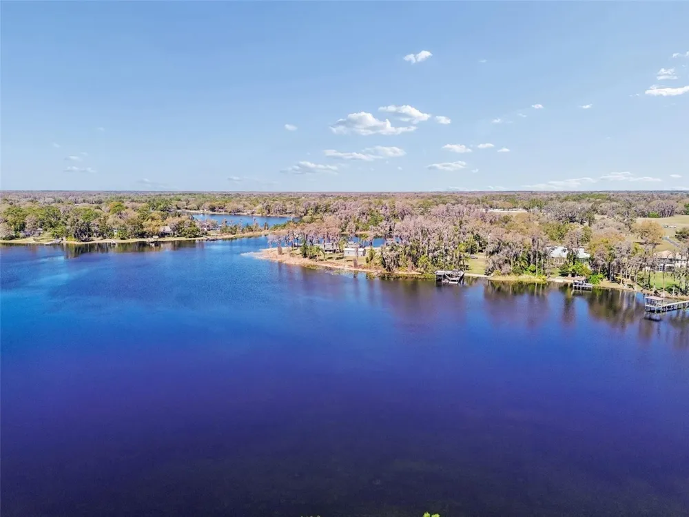 16515 LAKE CHURCH DRIVE Odessa, FL 33556