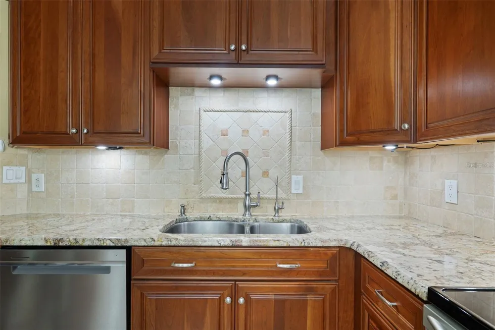 18756 WIMBLEDON CIRCLE Lutz, FL 33558