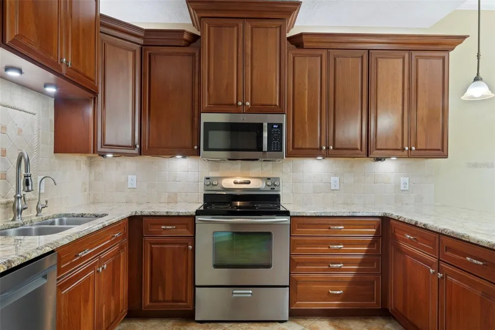 18756 WIMBLEDON CIRCLE Lutz, FL 33558
