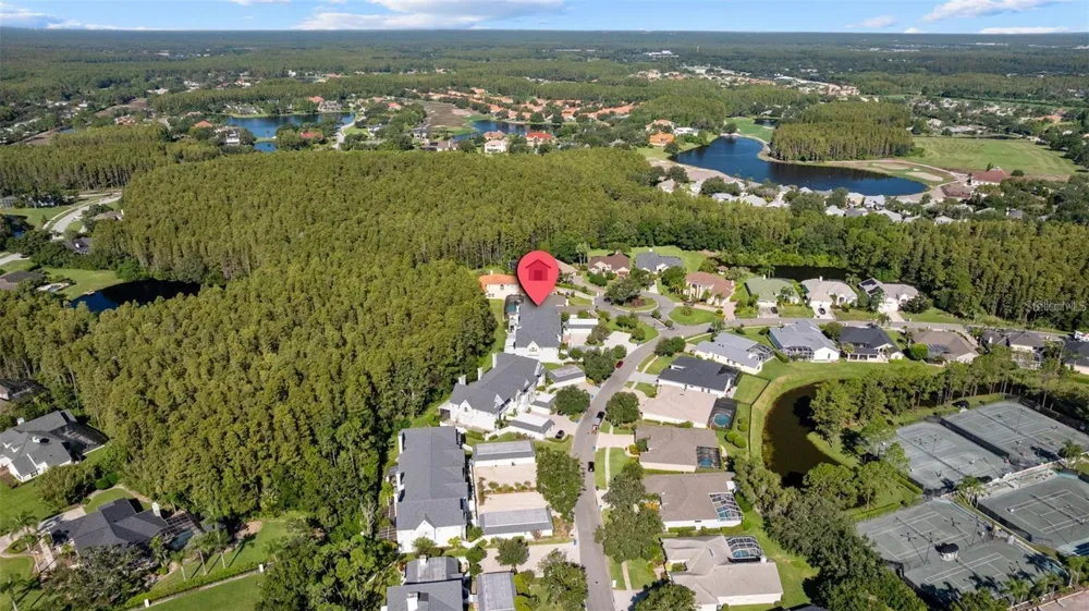 18756 WIMBLEDON CIRCLE Lutz, FL 33558