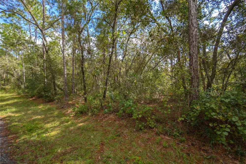 3210 E MICHAEL STREET Inverness, FL 34453