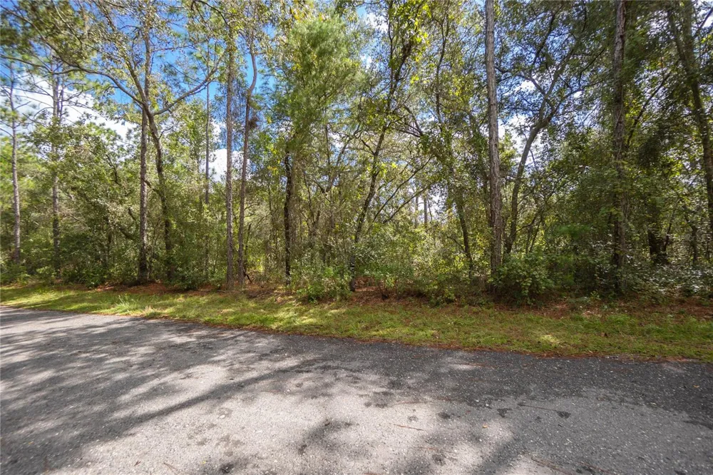 3210 E MICHAEL STREET Inverness, FL 34453