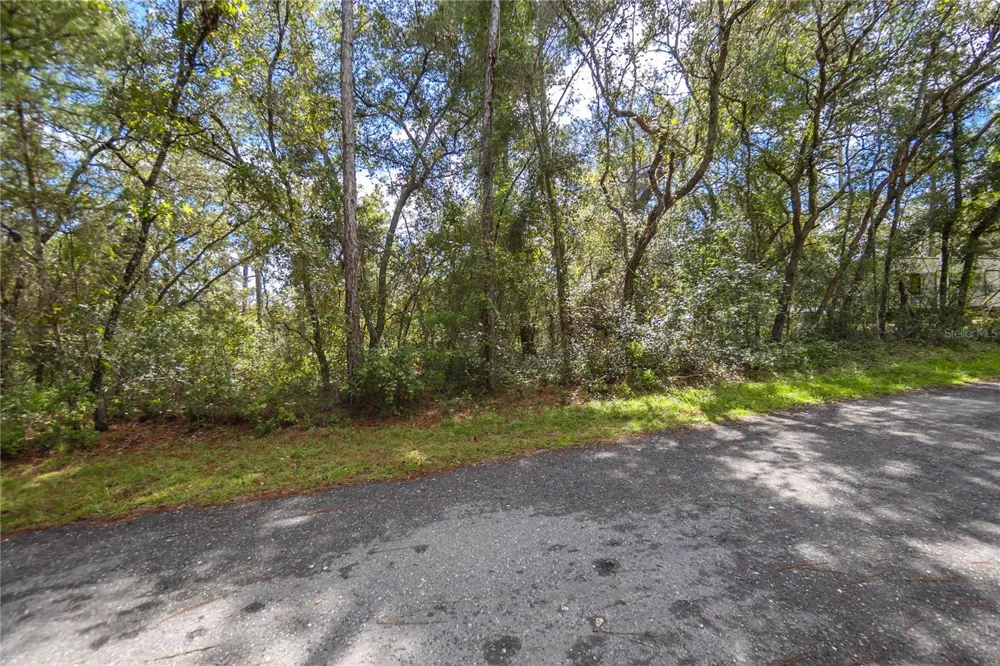 3210 E MICHAEL STREET Inverness, FL 34453