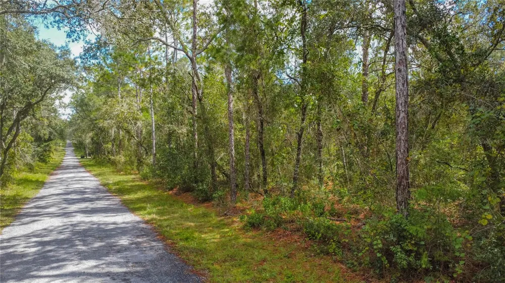 3210 E MICHAEL STREET Inverness, FL 34453