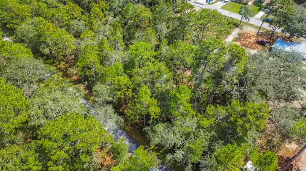 3210 E MICHAEL STREET Inverness, FL 34453