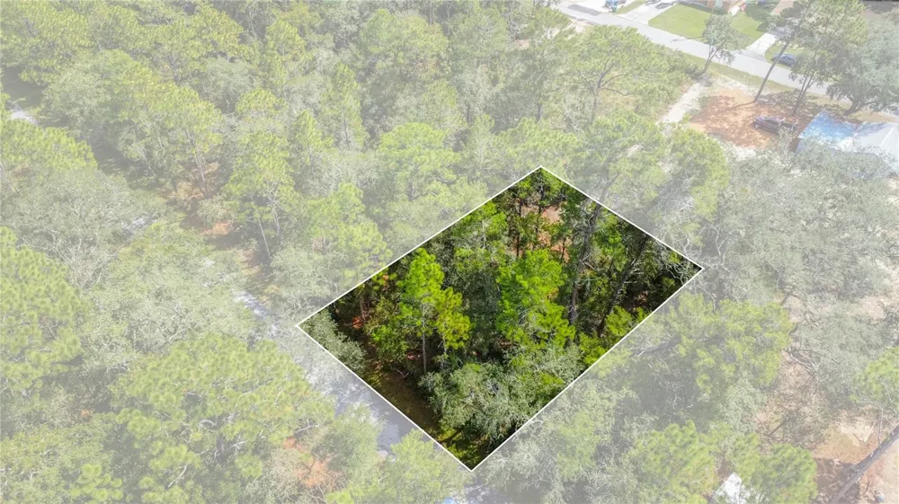 3210 E MICHAEL STREET Inverness, FL 34453