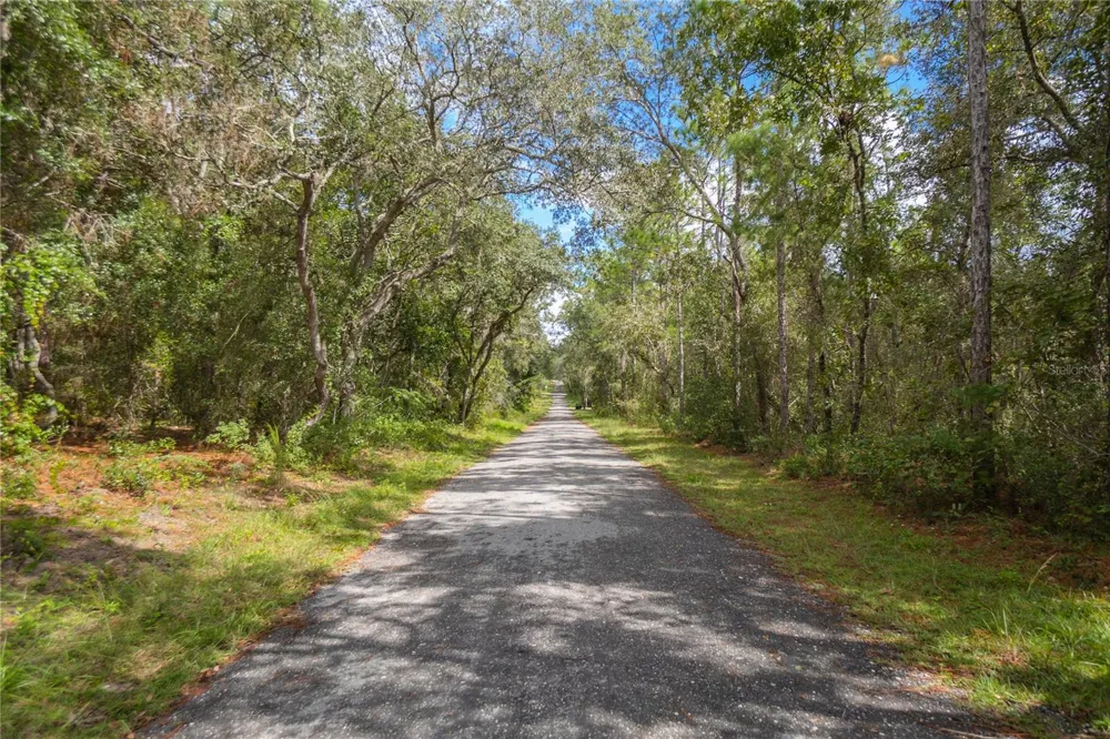3210 E MICHAEL STREET Inverness, FL 34453