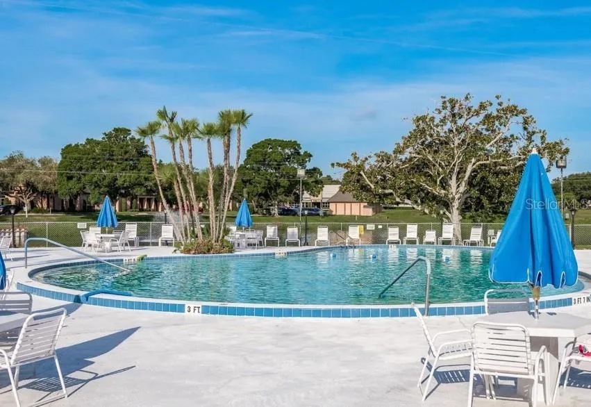 11251 80TH AVENUE #310 Seminole, FL 33772