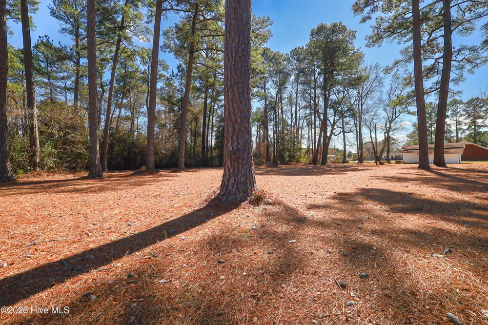 580 Koonce Fork Road Richlands, NC 28574