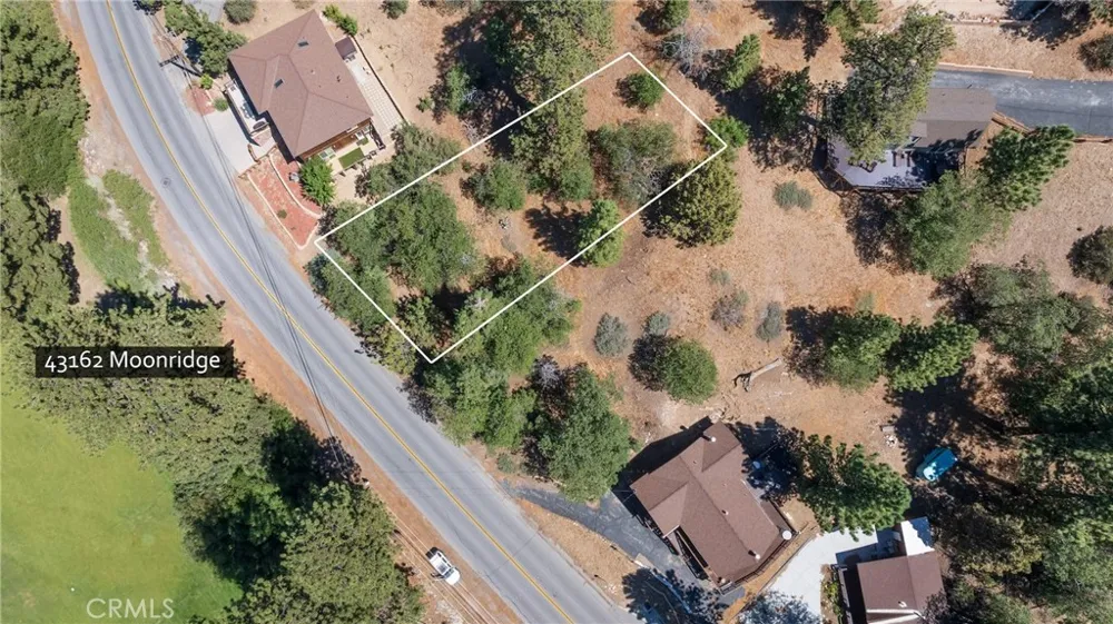 43162 Moonrige Road Big Bear Lake, CA 92315
