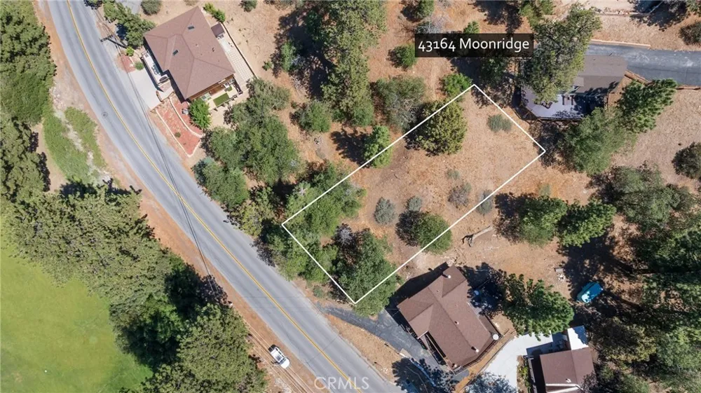43164 Moonridge Big Bear Lake, CA 92315