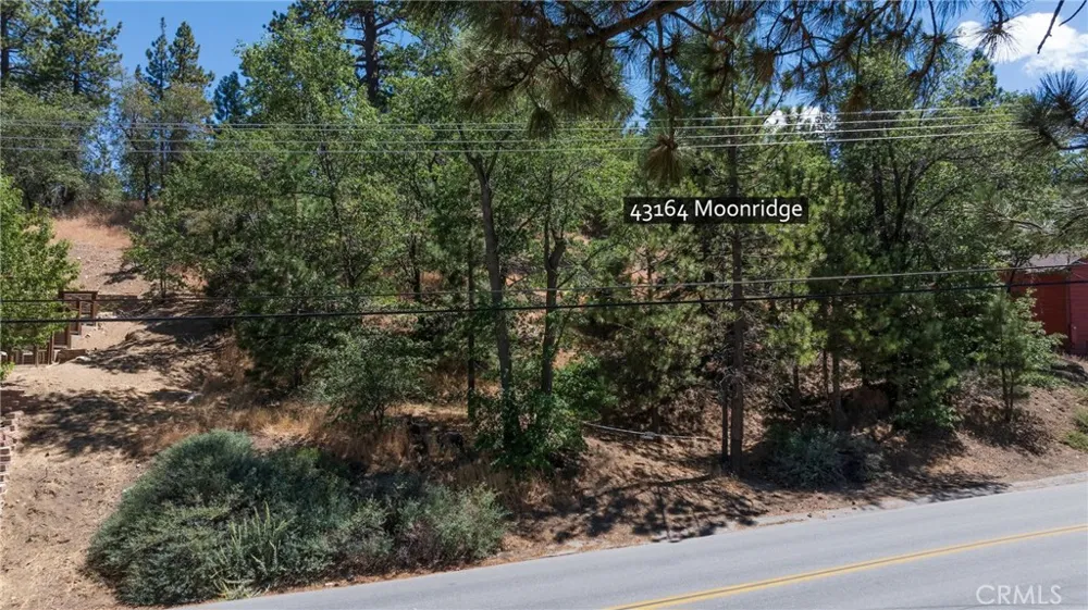 43164 Moonridge Big Bear Lake, CA 92315