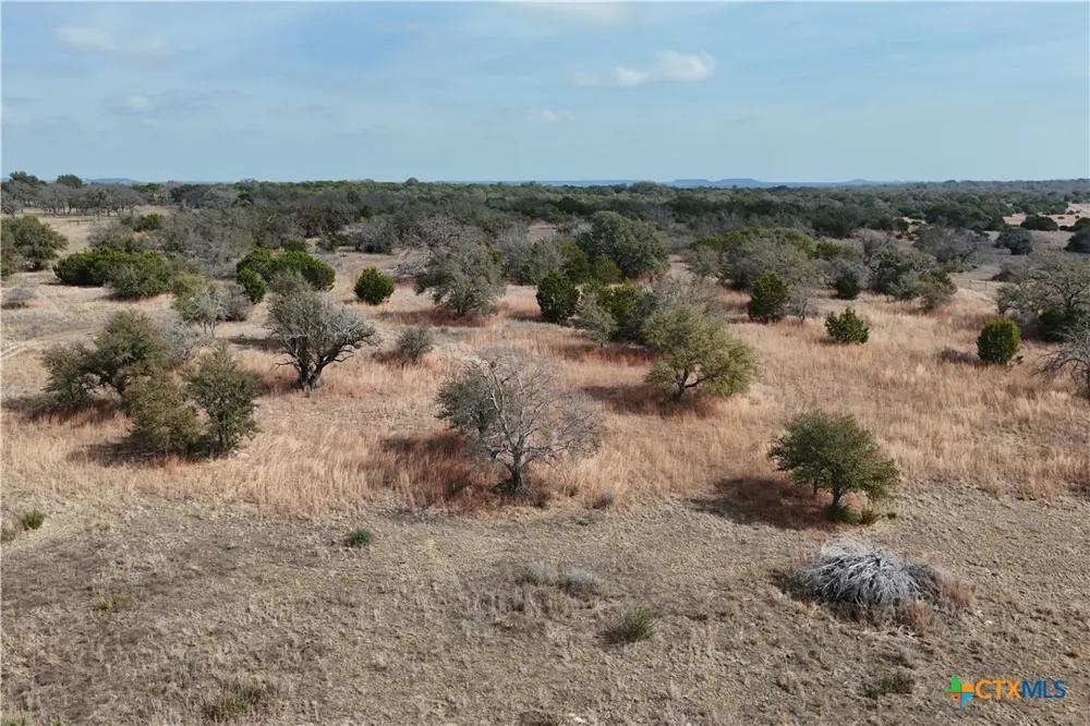 57 Bryce Trail Briggs, TX 78608