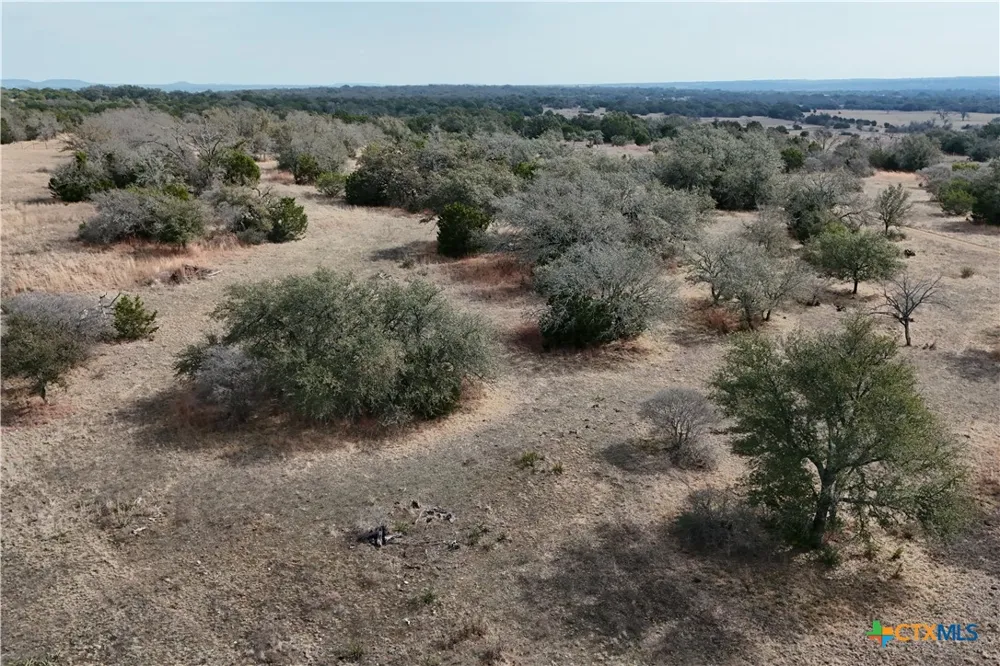 57 Bryce Trail Briggs, TX 78608