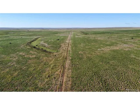 County Rd 166