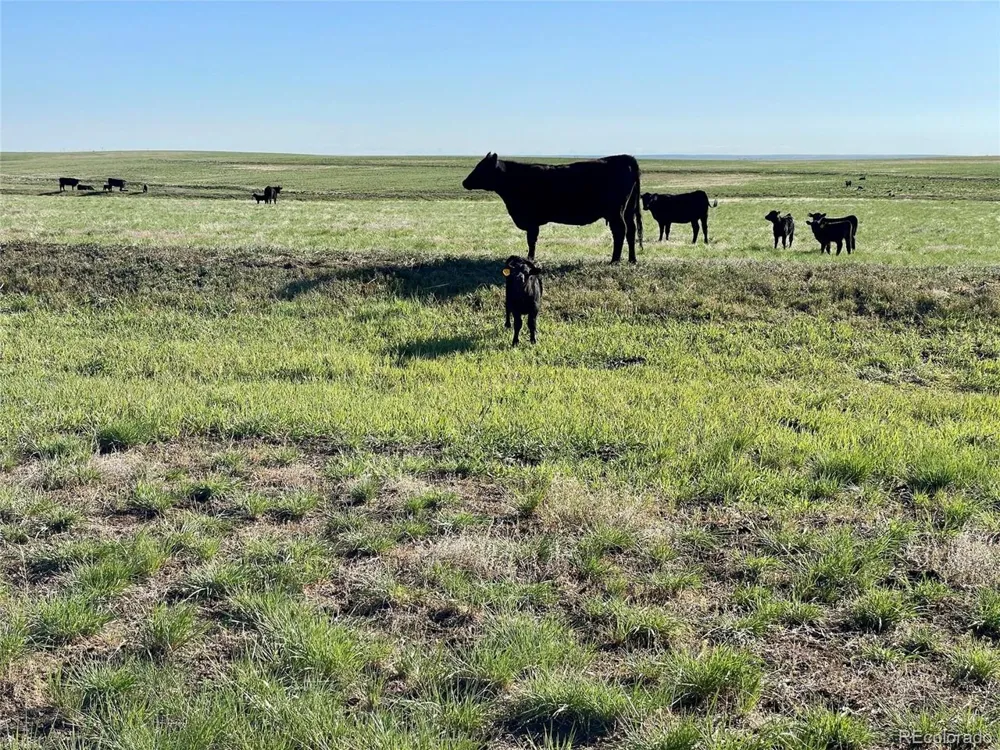 County Rd 166 Deer Trail, CO 80105