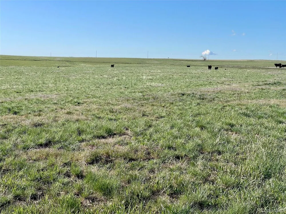 County Rd 166 Deer Trail, CO 80105