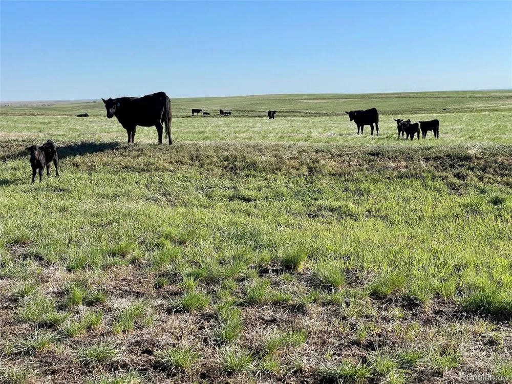 County Rd 166 Deer Trail, CO 80105