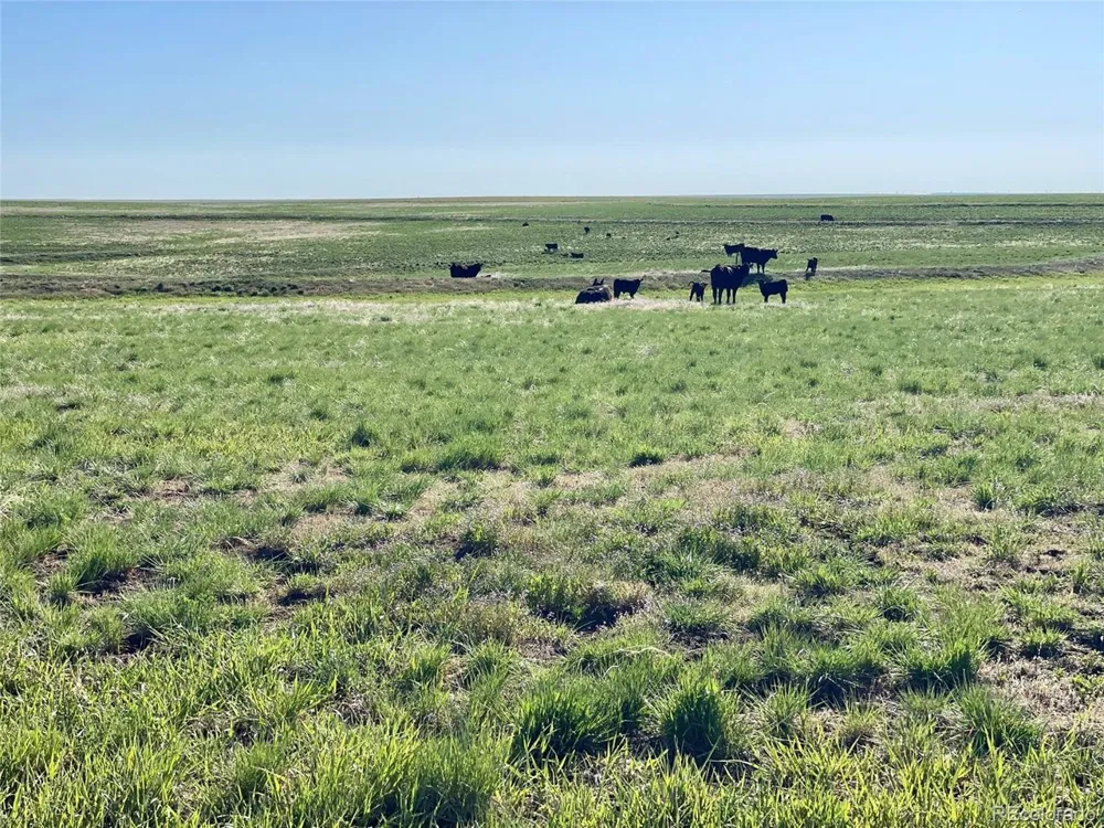 County Rd 166 Deer Trail, CO 80105