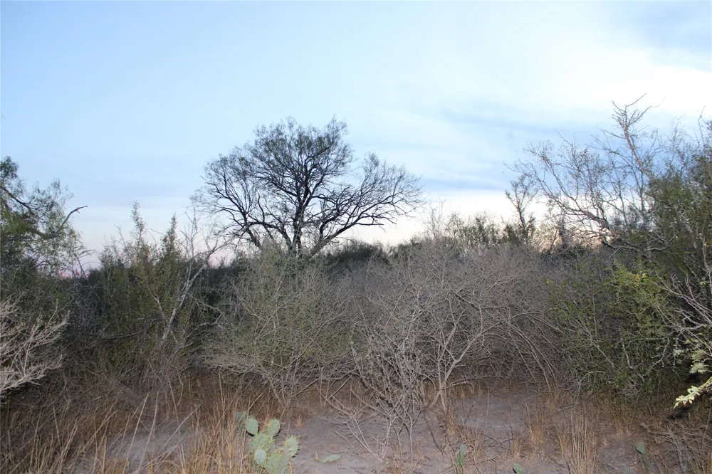 CR 339 Jourdanton, TX 78026
