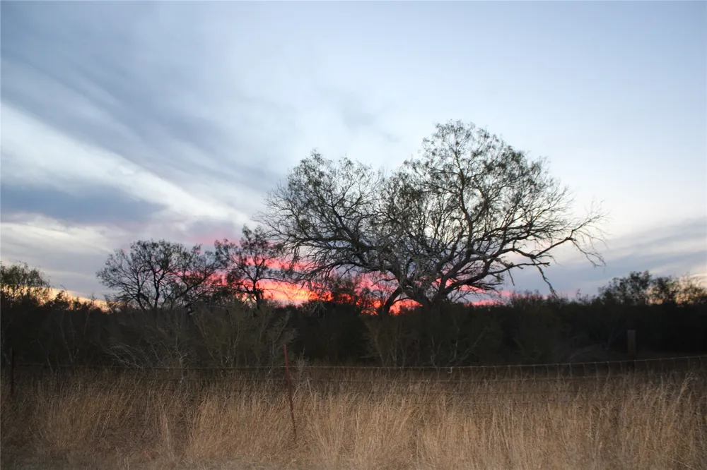 CR 339 Jourdanton, TX 78026