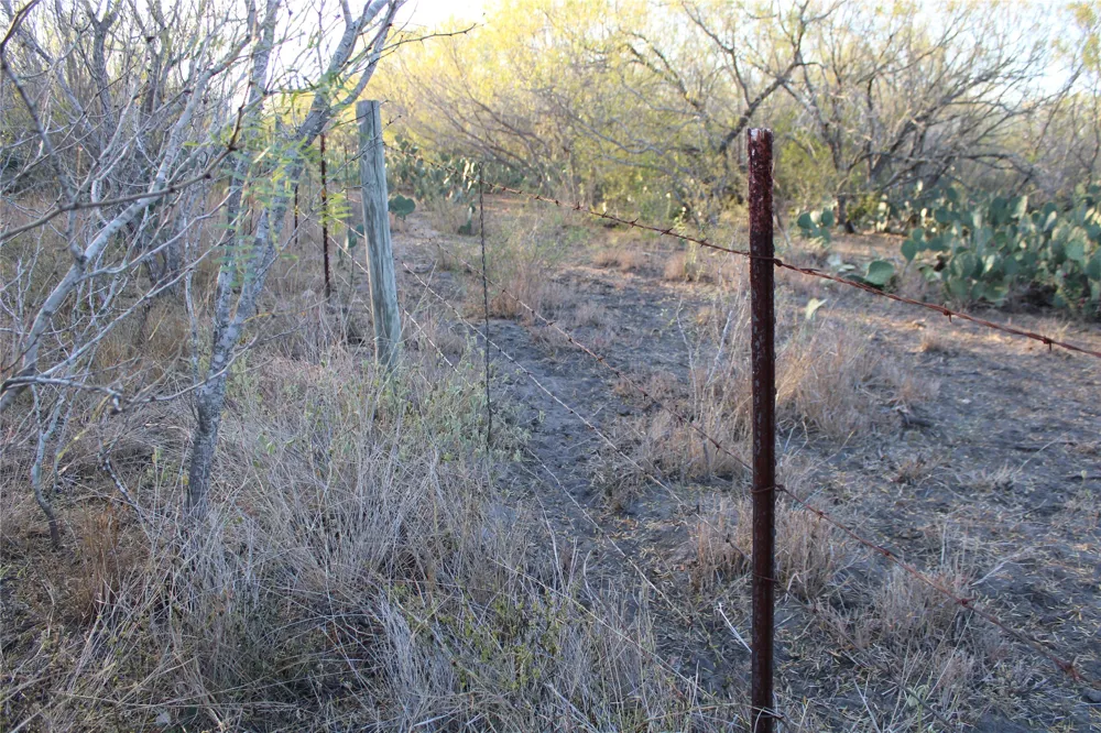 CR 339 Jourdanton, TX 78026