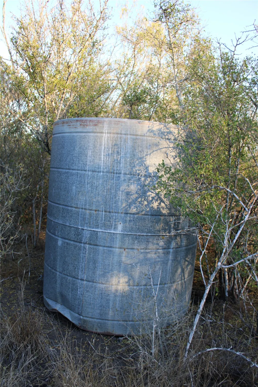 CR 339 Jourdanton, TX 78026