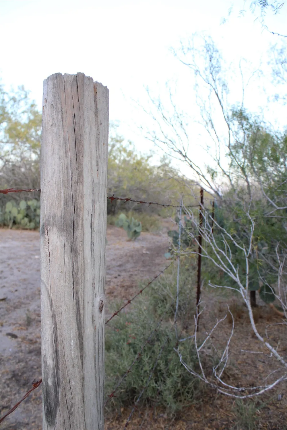 CR 339 Jourdanton, TX 78026