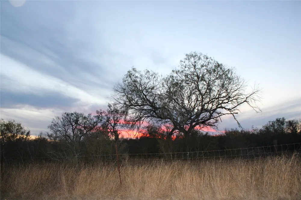 CR 339 Jourdanton, TX 78026