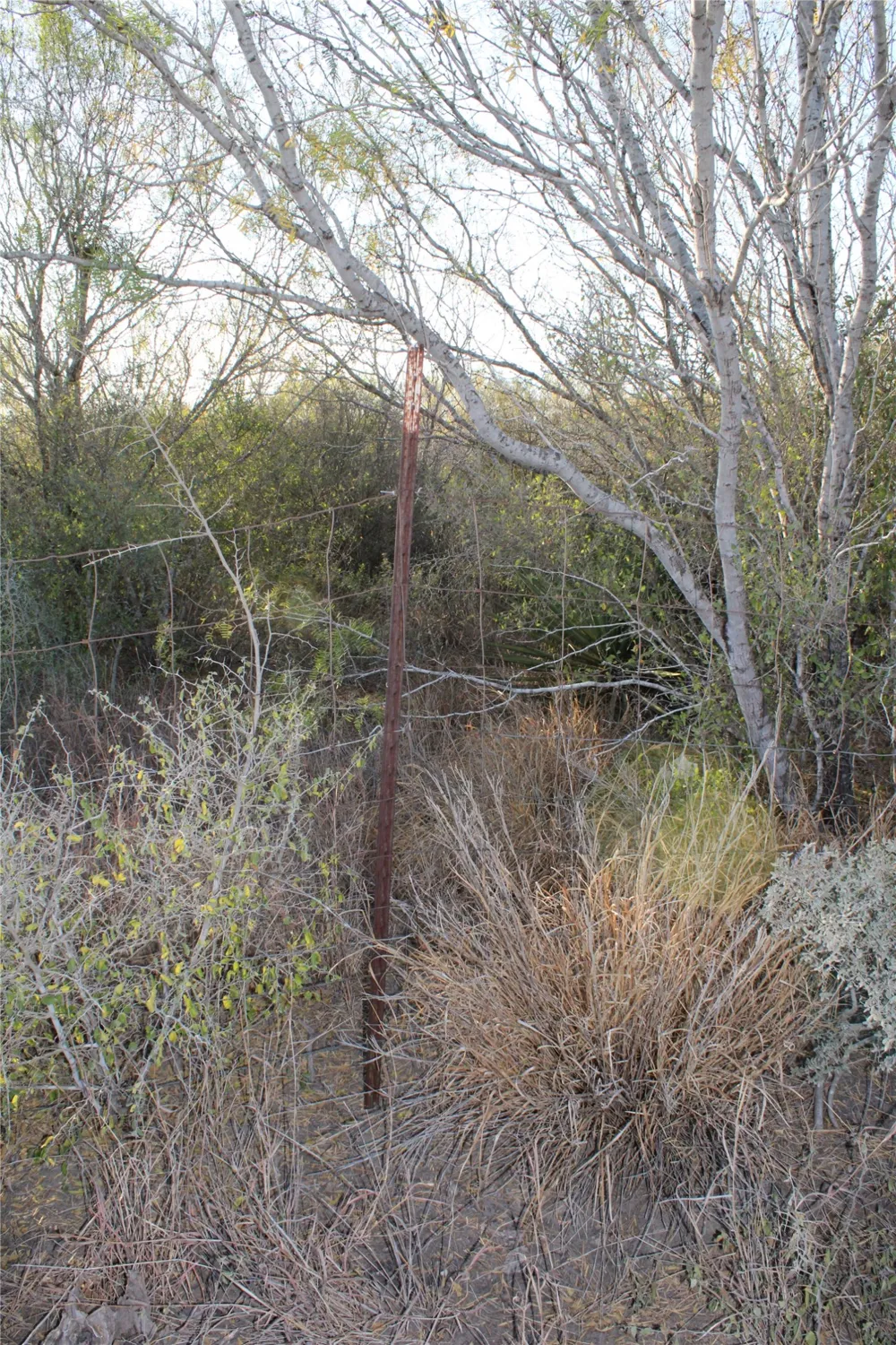 CR 339 Jourdanton, TX 78026