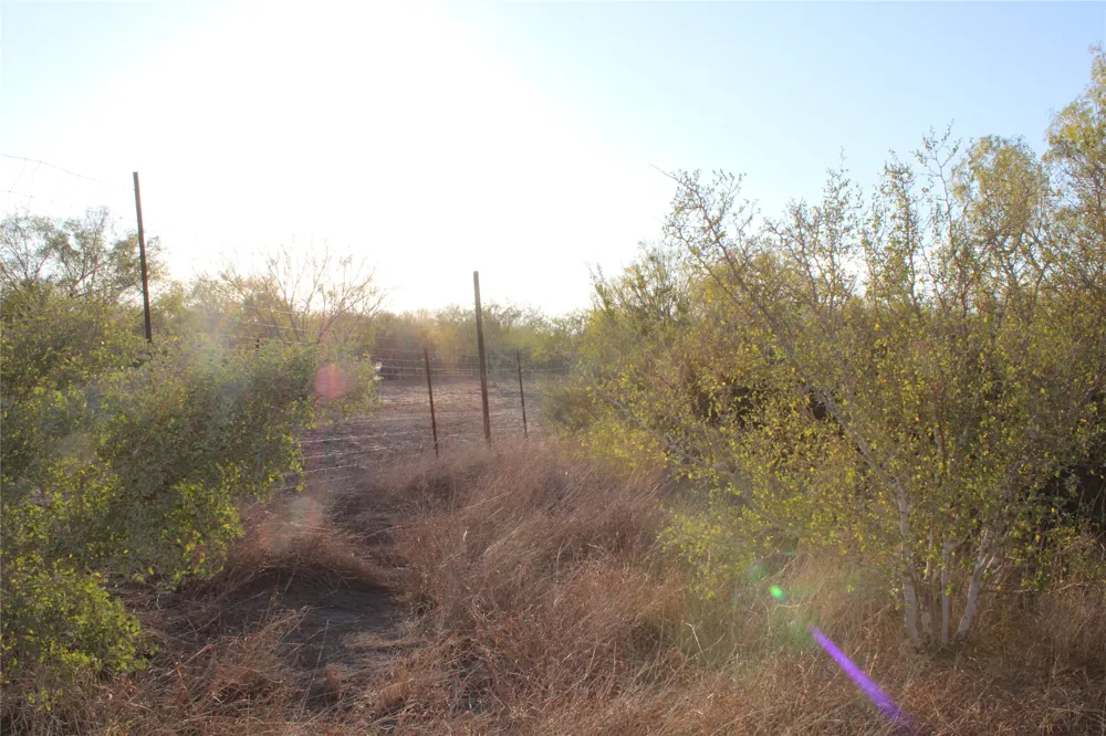 CR 339 Jourdanton, TX 78026