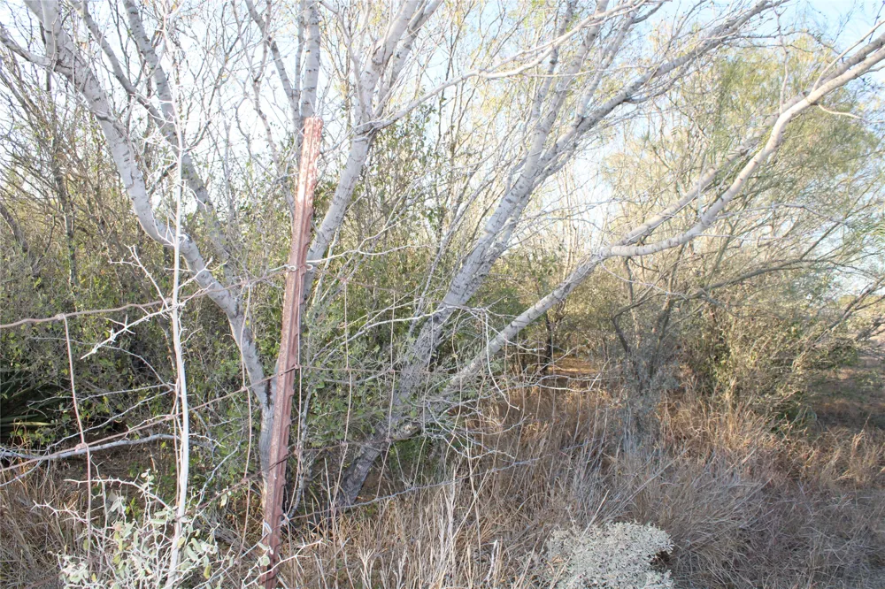 CR 339 Jourdanton, TX 78026