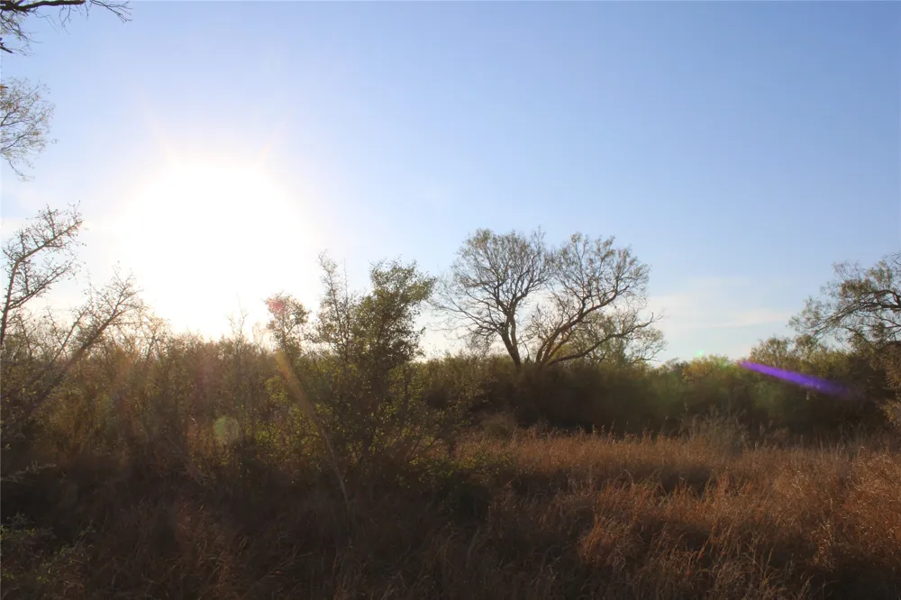 CR 339 Jourdanton, TX 78026
