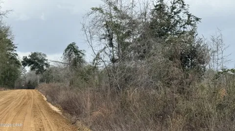 Christmas Road