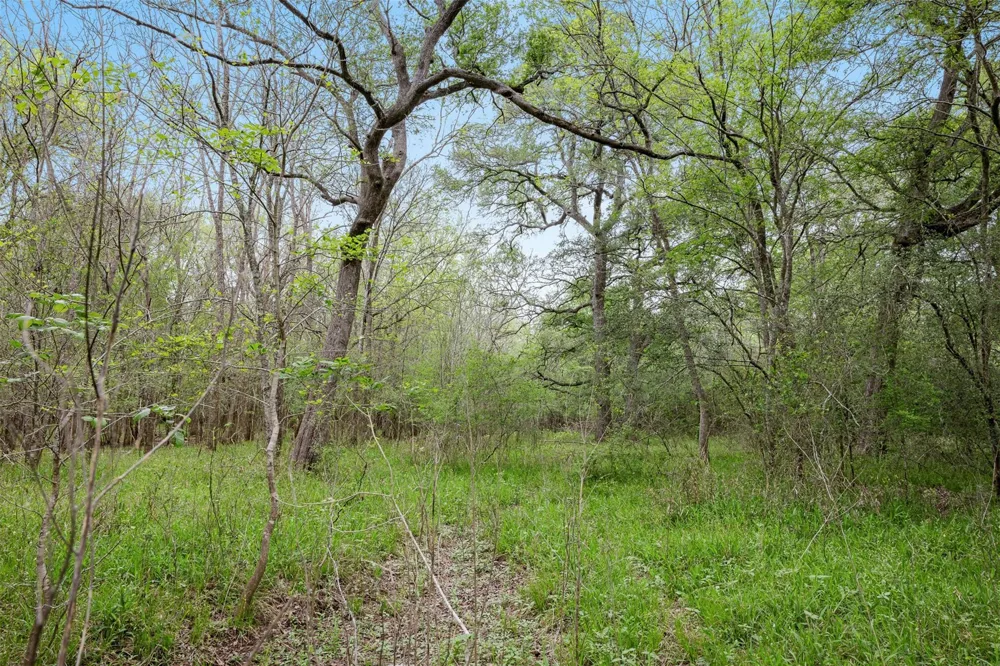 County Road 433 Dime Box, TX 77853