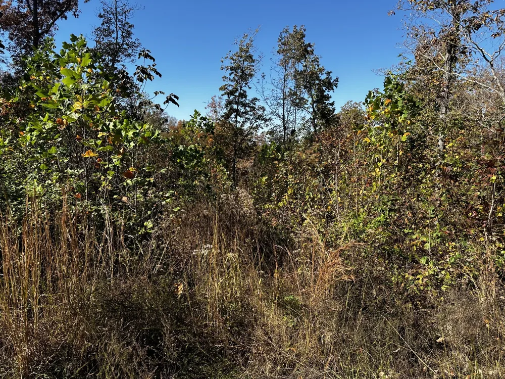 0 Ridge Top Rd Stewart, TN 37175