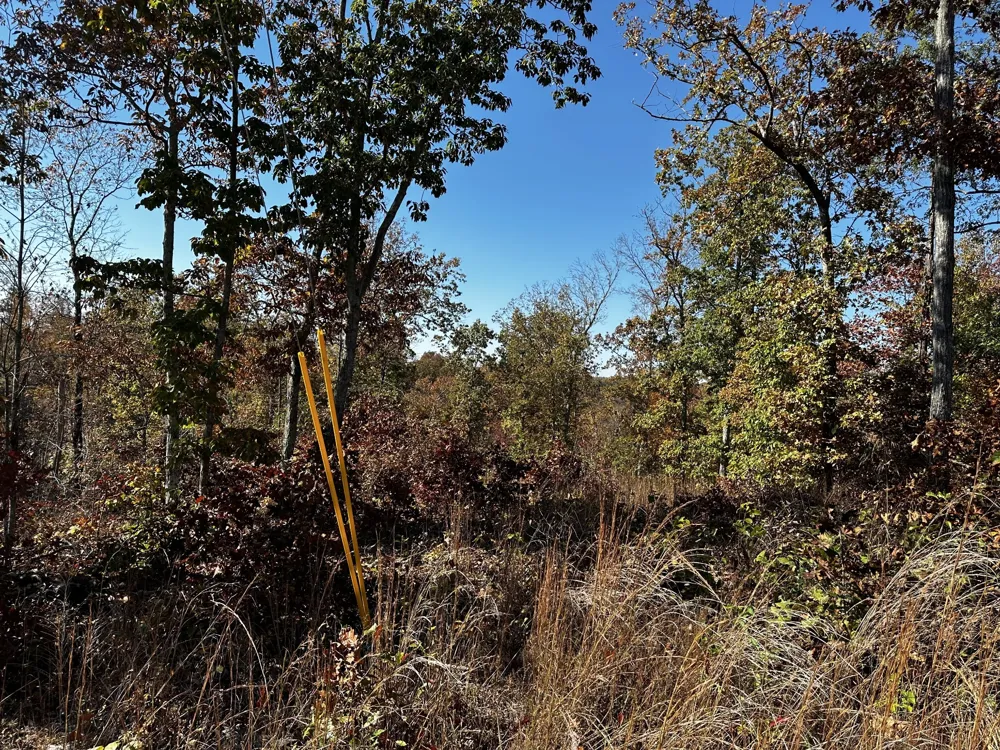0 Ridge Top Rd Stewart, TN 37175